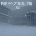 我期待的不是雪 (抒情版)