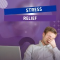 CALM MIND、Peaceful escape、Relaxation Waves - Tranquil moments