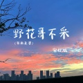 野花哥不采（哥有老婆）