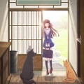 小瓶盖 - For フルーツバスケット