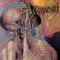 Negative Order - ****in' A!