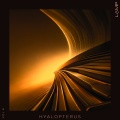 Hyalopterus, Vol. 8