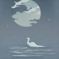 冬绫ayako - 白鹭霜华