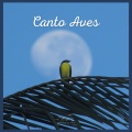 Sonidos De Aves - Canto Aves