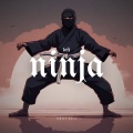 Lofi Ninja - Quiet Power