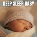 The Sleepy Sounds - Examine