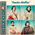 Los Kjarkas - Cuando Llega el Amor