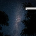 自然的夜間聲音