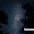 Night Sounds、Cricket Sounds、Sounds of Nature Zone - Quiet Night