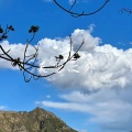 天空之外 (季风吹向大海)