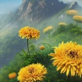 许修文 - 菊花爆满山