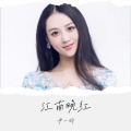 郑琦 - 江南晚红