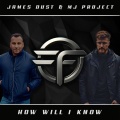 James Dust - How Will I Know (Original Mix)