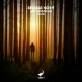 Archeodromo (Remixes)