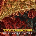 Tricossoma - Slow Motions
