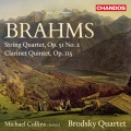 Michael Collins、brodsky quartet、Johannes Brahms - IV. Con moto