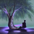 宋祺 - 爱情树