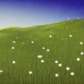 稳子2009 - 狗尾草