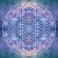 Aum Akashic Records - Strings Of Faith