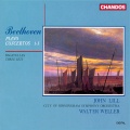 Walter Weller、City Of Birmingham Symphony Orchestra、john lill、Ludwig van Beethoven - II. Andante con moto
