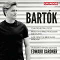 Edward Gardner、Melbourne Symphony Orchestra、Béla Bartók - I. Andante tranquillo