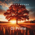 DJ Prime - Tomorrowland (Explicit)