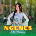 Ngenes