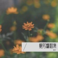 鲍芳 - 从前慢