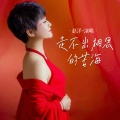 赵洋 - 走不出相思的苦海