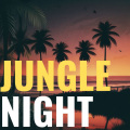 Lukas Müller - Tropical Sunset