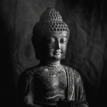 Buddha's Flute