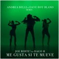 Me Gusta Si Te Mueve (Andrea Belli & Dave Roy Bland Remix)