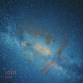 Hide