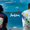 FANTOM (Explicit)