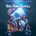 Sesa Feleng Sahlola (feat. Terra Fountain, Veyane & Teekay)