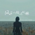 队长的小斑鸠、早晚晚 - 风可以越过荆棘