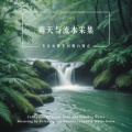 酷客音乐 - 海浪声