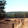 Kawarren Hay Footsteps