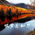 追梦 - 叹岁月如刀