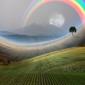 Fantasy Life
