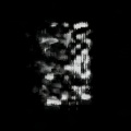 Black Jacket - Torrent