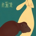 韬涛声 - 普洱之恋