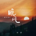 树哥 - 晚风 (烟嗓版)