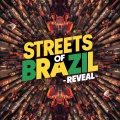 Streets of Brazil - Reveal
