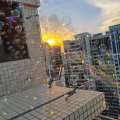 陈志温 - 捞币