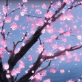 姜媛 - 梅花引 (2014天天把歌唱现场)