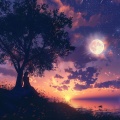 Music for Rest、Relax Easy、#Relaxing - Evening's Gentle Caress