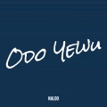 Odo Yewu