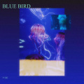 A-DoG - BLUE BIRD
