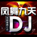 凤舞九天 (DJ加快版)(DJ杜心军 remix)